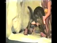 [ Zoophilia Porn Film ] Blonde hotwife acquires fucked by police dog